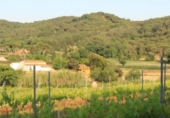 Rural estate for sale on España, Tordera, ref: TR350392 photo