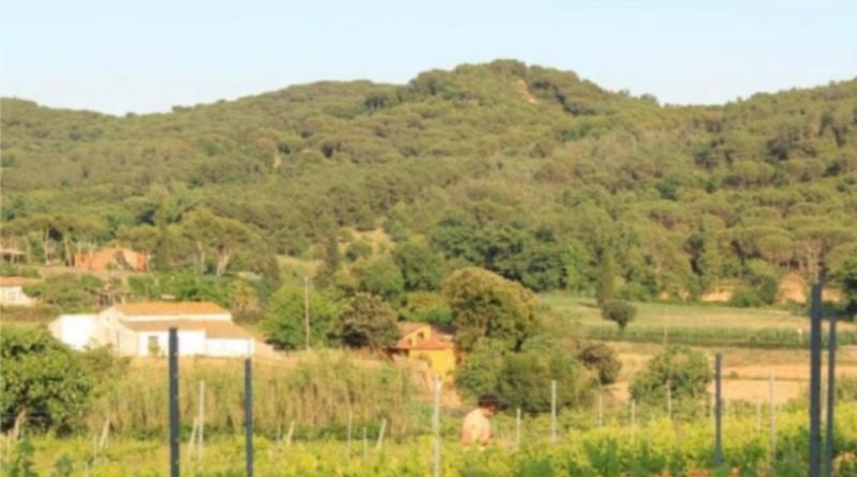 Barcelona - Tordera - 15500m2