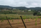 Rural estate for sale on España, Tordera, ref: TR350392 photo