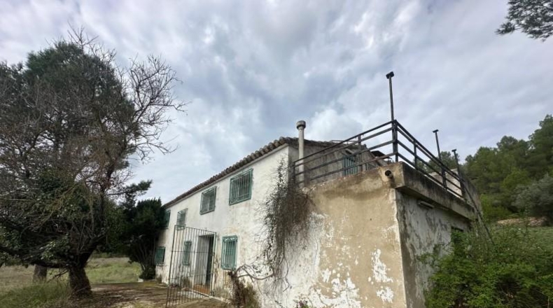Alicante - Dolores - 246000m2