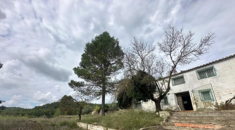 Alicante - Dolores - 246000m2