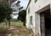 Xalet independent amb terreny en venda a la España, Énguera, ref.: TR353372 foto
