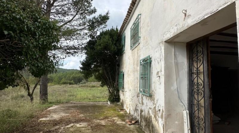 Alicante - Dolores - 246000m2