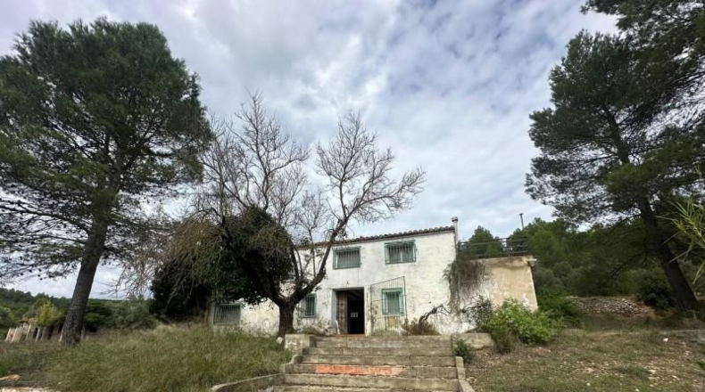 Alicante - Dolores - 246000m2