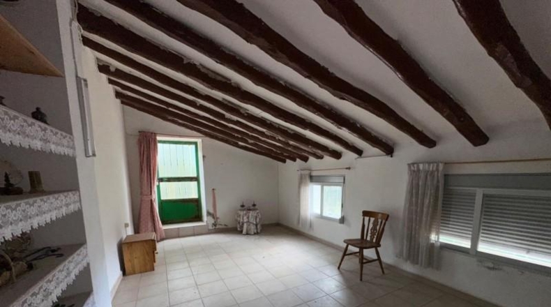 Alicante - Dolores - 246000m2