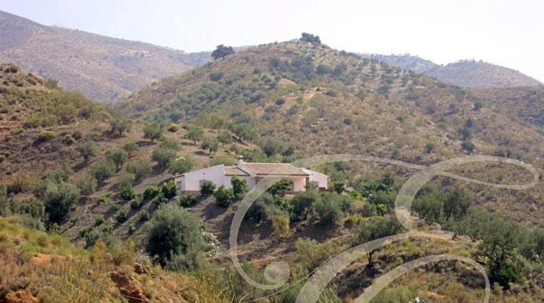 Málaga - Màlaga - 22500m2