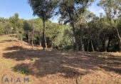 Sòl urbà en venda a la España, Sant Pol de Mar, ref.: TR131405 foto