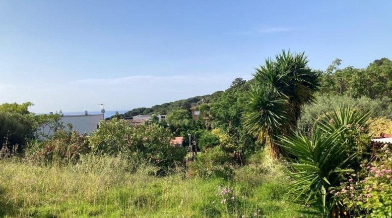 Barcelona - Sant Pol de Mar - 802m2
