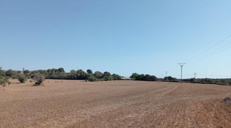 Islas Baleares - Llubí - 26353m2