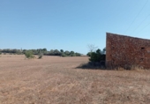 Non-developable land for sale on España, Llubí, ref: TR166709 photo