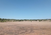 Non-developable land for sale on España, Llubí, ref: TR166709 photo