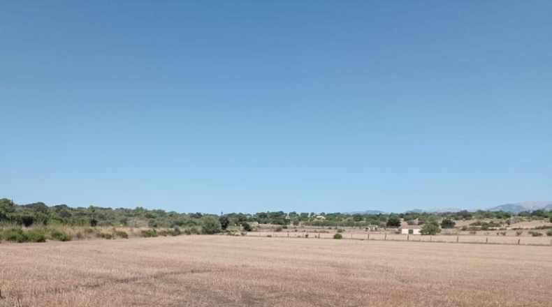 Islas Baleares - Llubí - 26353m2