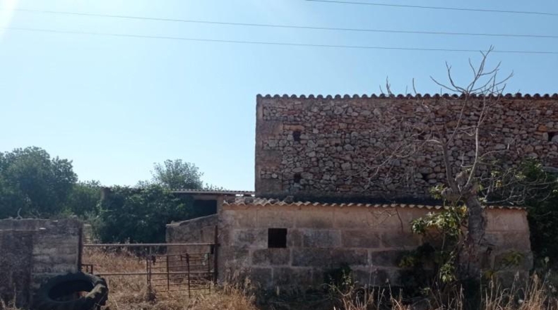 Islas Baleares - Llubí - 26353m2