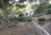 Casa de camp amb terreny en venda a la España, Andújar, ref.: TR139439 foto