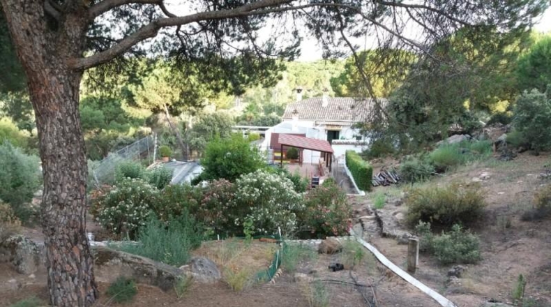 Jaén - Andújar - 6000m2