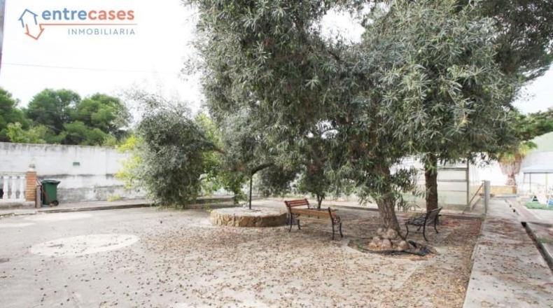 València - Albalat dels Tarongers - 1780m2