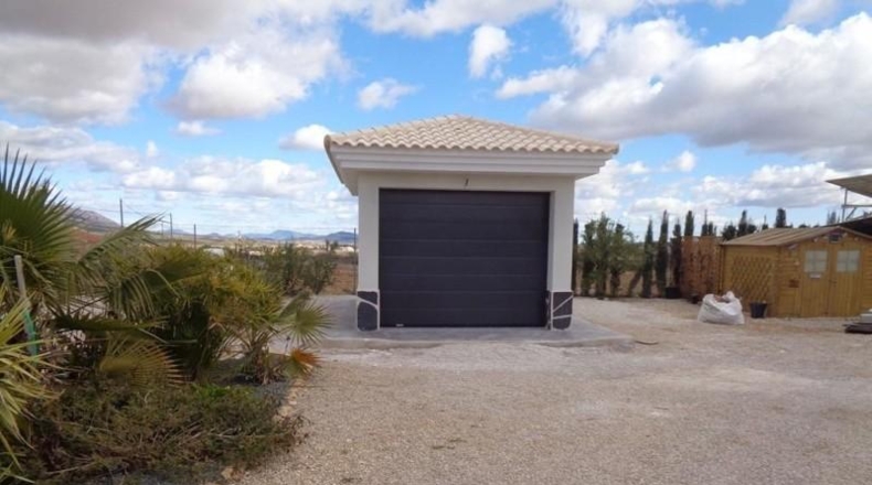 Alicante - Pinoso - 10000m2