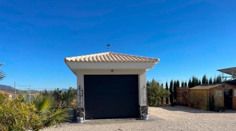 Alicante - Pinoso - 10000m2