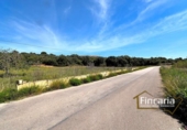Non-developable land for sale on España, Sant Llorenç des Cardassar, ref: TR130402 photo
