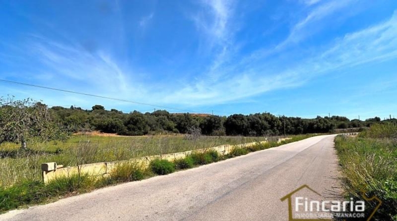 Balearic Islands - Sant Llorenç des Cardassar - 16585m2