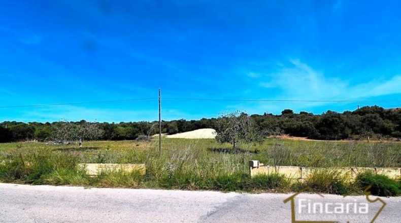 Balearic Islands - Sant Llorenç des Cardassar - 16585m2