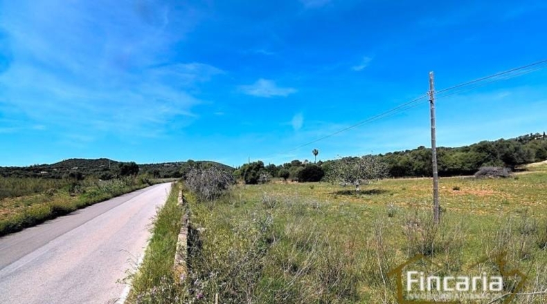 Balearic Islands - Sant Llorenç des Cardassar - 16585m2