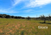 Non-developable land for sale on España, Sant Llorenç des Cardassar, ref: TR130402 photo