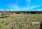 Non-developable land for sale on España, Sant Llorenç des Cardassar, ref: TR130402 photo