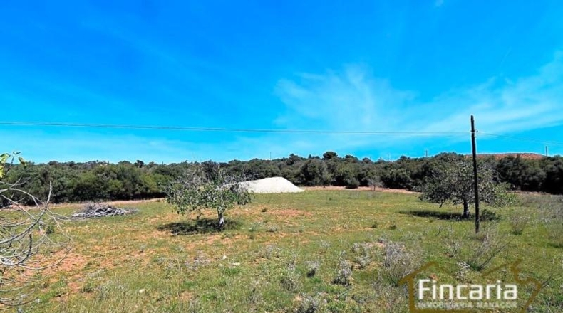 Balearic Islands - Sant Llorenç des Cardassar - 16585m2
