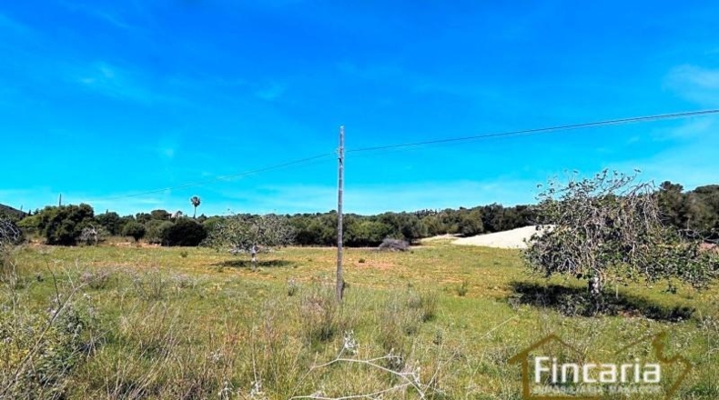 Balearic Islands - Sant Llorenç des Cardassar - 16585m2