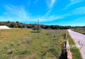 Non-developable land for sale on España, Sant Llorenç des Cardassar, ref: TR130402 photo