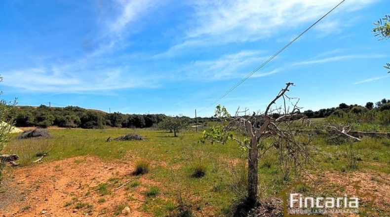 Balearic Islands - Sant Llorenç des Cardassar - 16585m2