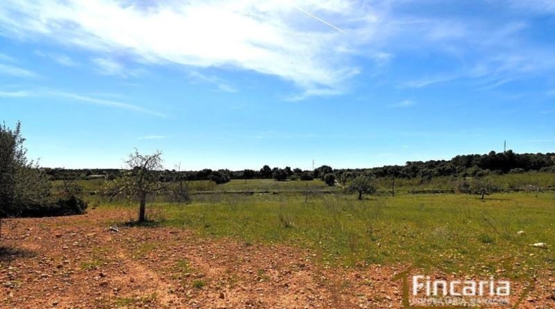 Balearic Islands - Sant Llorenç des Cardassar - 16585m2