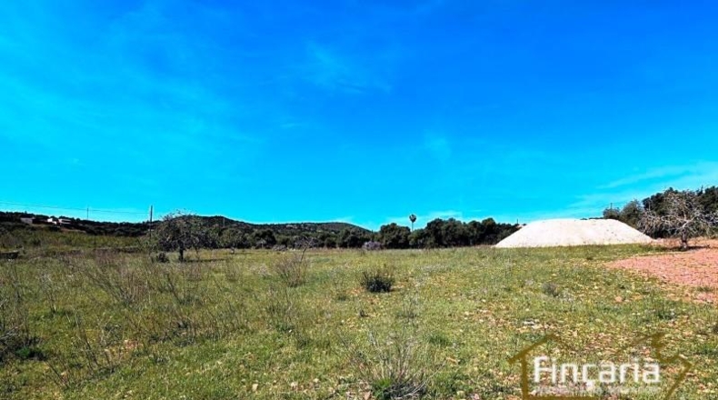 Balearic Islands - Sant Llorenç des Cardassar - 16585m2