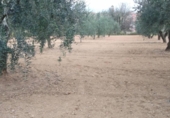 Urban land for sale on España, els Hostalets de Pierola, ref: TR126103 photo