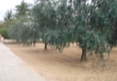 Urban land for sale on España, els Hostalets de Pierola, ref: TR126103 photo