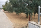 Urban land for sale on España, els Hostalets de Pierola, ref: TR126103 photo