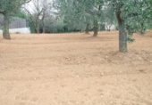 Urban land for sale on España, els Hostalets de Pierola, ref: TR126103 photo