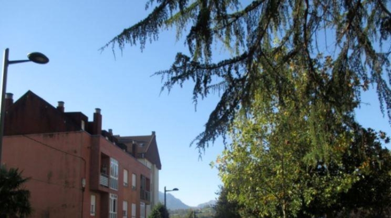 Asturias - Oviedo - 2698m2