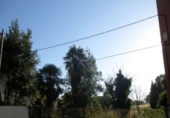 Casa con terreno en venta en la España, Oviedo, ref: TR301969 foto