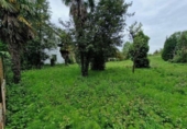 Casa con terreno en venta en la España, Oviedo, ref: TR301969 foto