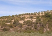 Xalet independent amb terreny en venda a la España, Morón de la Frontera, ref.: TR152908 foto