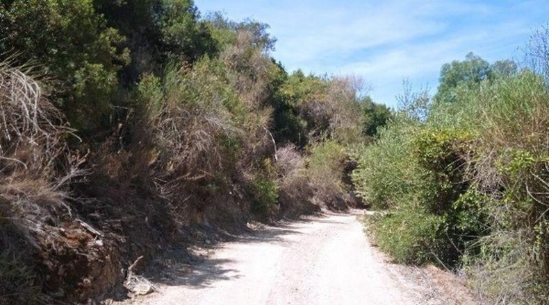 Sevilla - Morón de la Frontera - 361708m2
