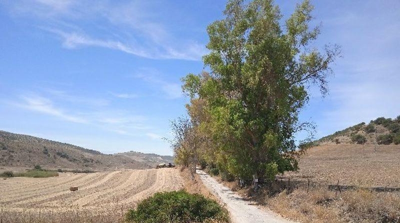 Sevilla - Morón de la Frontera - 361708m2