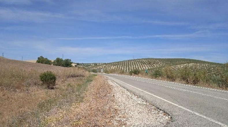 Sevilla - Morón de la Frontera - 361708m2