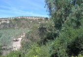 Xalet independent amb terreny en venda a la España, Morón de la Frontera, ref.: TR152908 foto
