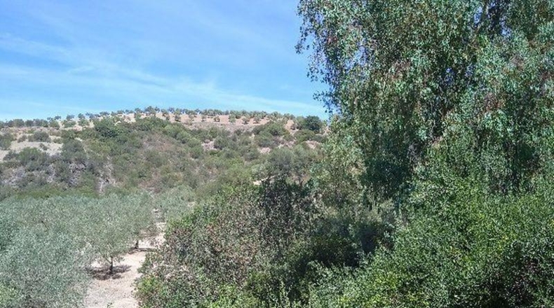 Sevilla - Morón de la Frontera - 361708m2
