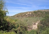 Xalet independent amb terreny en venda a la España, Morón de la Frontera, ref.: TR152908 foto