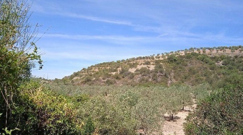 Sevilla - Morón de la Frontera - 361708m2