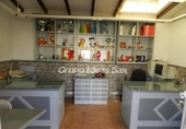 Xalet independent amb terreny en venda a la España, Saix, ref.: TR132573 foto